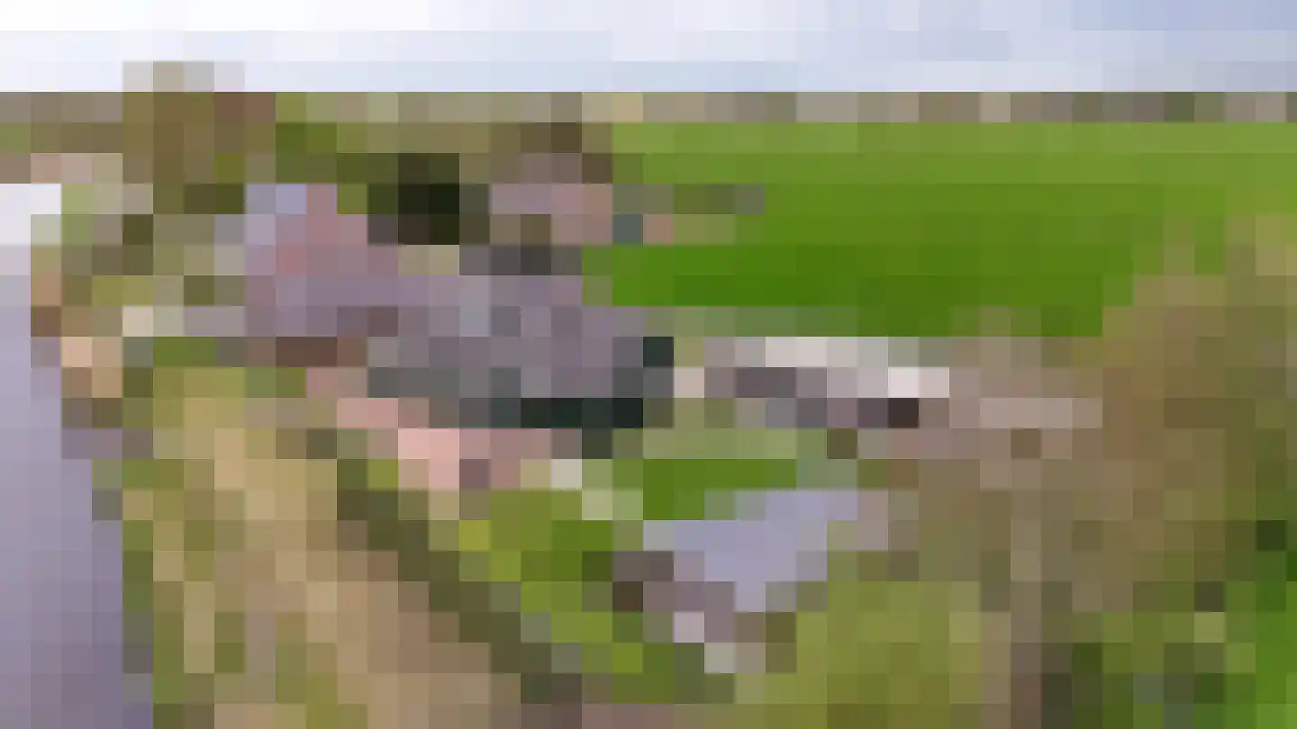 Wilnisse Zuwe 55 Wilnis thumbnail 6