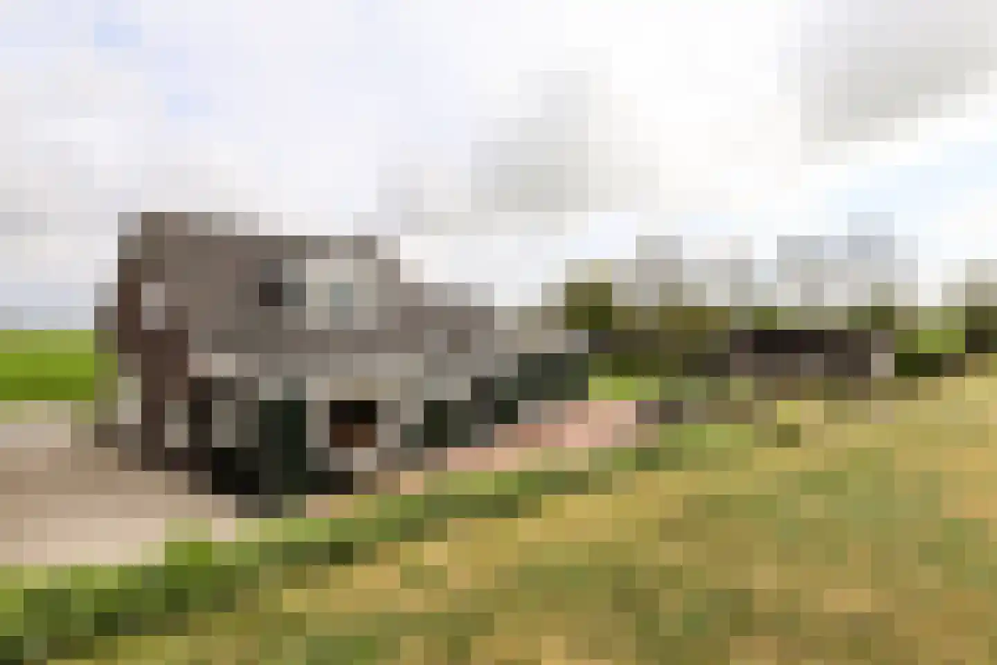 Wilnisse Zuwe 55 Wilnis thumbnail 69