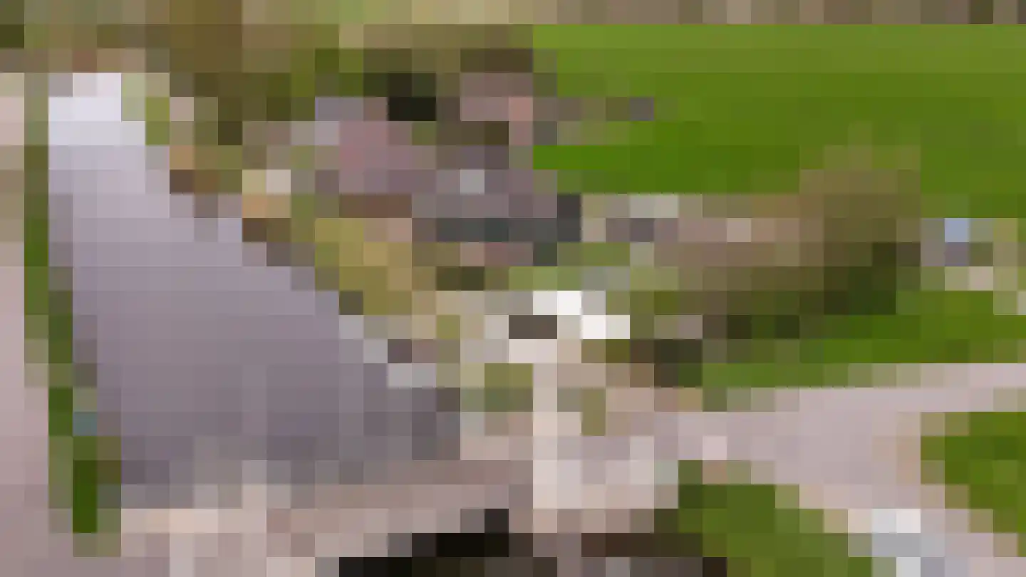 Wilnisse Zuwe 55 Wilnis thumbnail 7