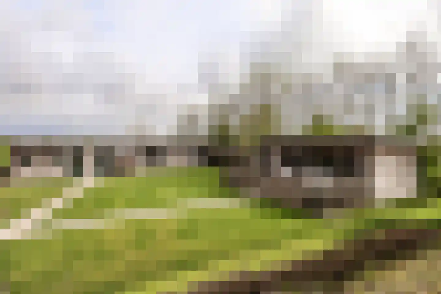 Wilnisse Zuwe 55 Wilnis thumbnail 70