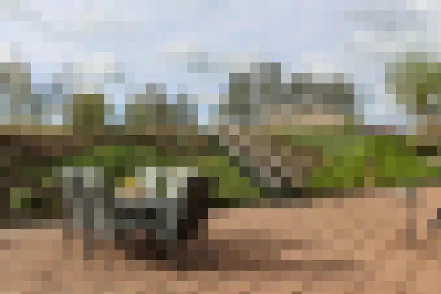 Wilnisse Zuwe 55 Wilnis thumbnail 77
