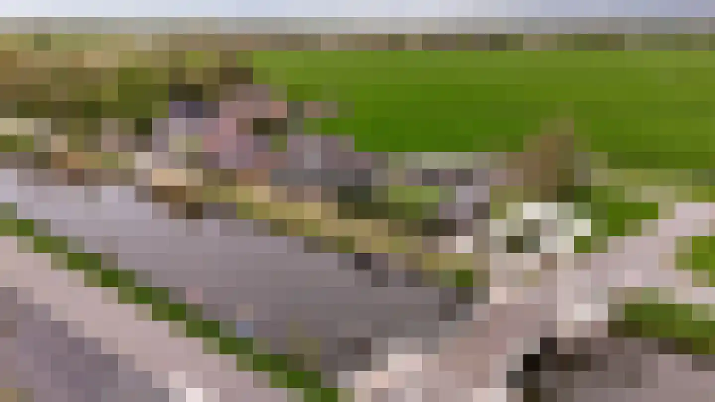 Wilnisse Zuwe 55 Wilnis thumbnail 8