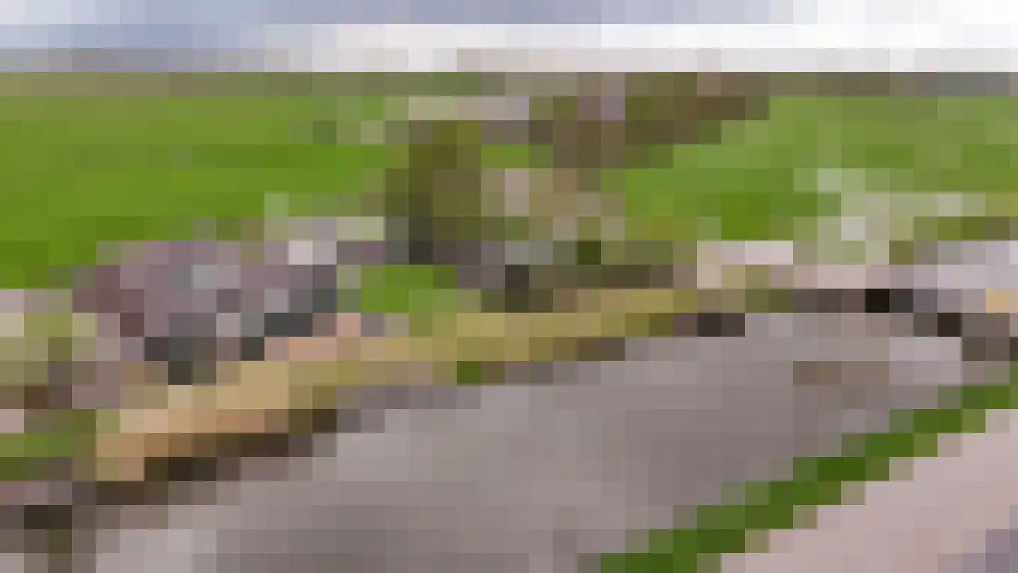 Wilnisse Zuwe 55 Wilnis thumbnail 9