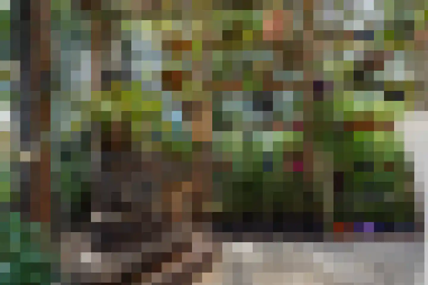 Wilnisse Zuwe 58 A R18 Wilnis thumbnail 14