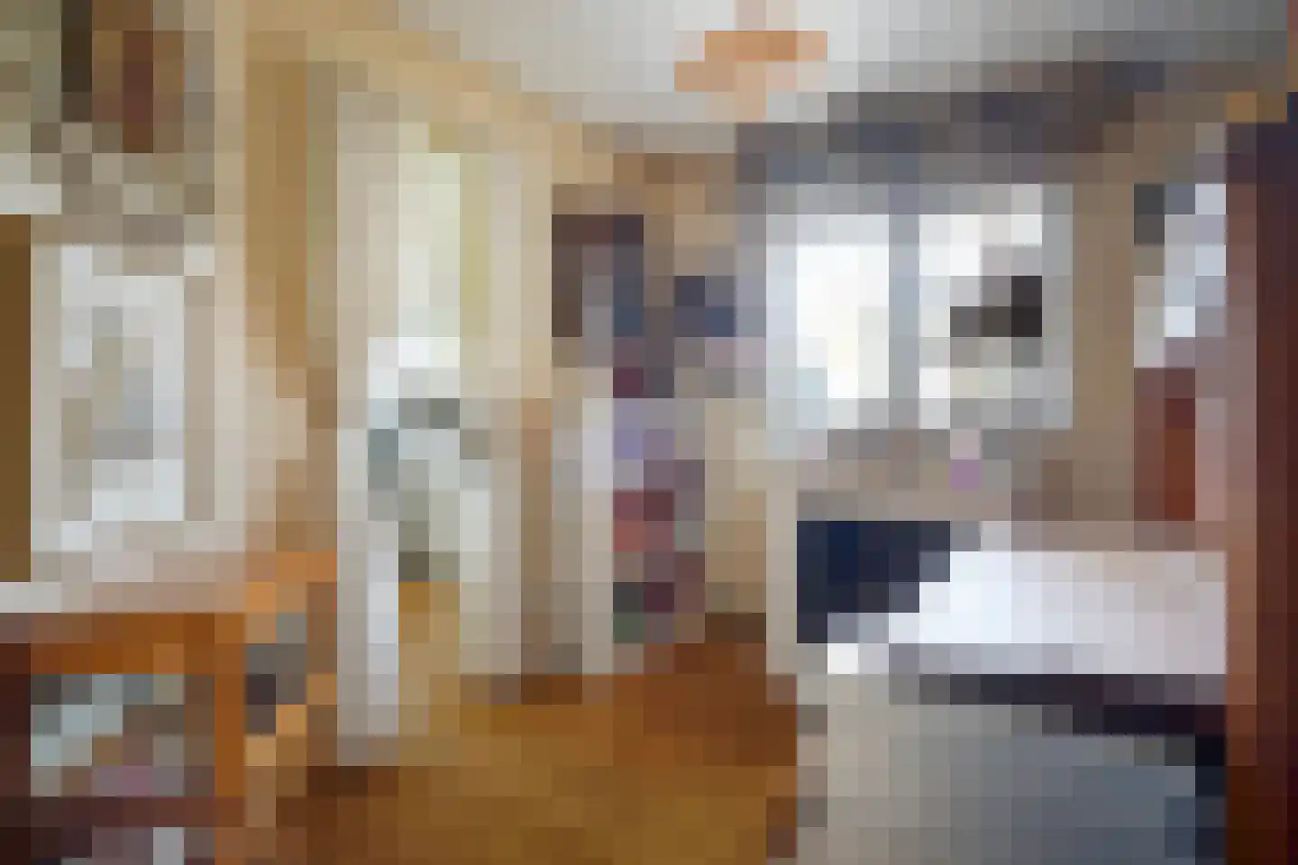 Wilnisse Zuwe 58 A R18 Wilnis thumbnail 25