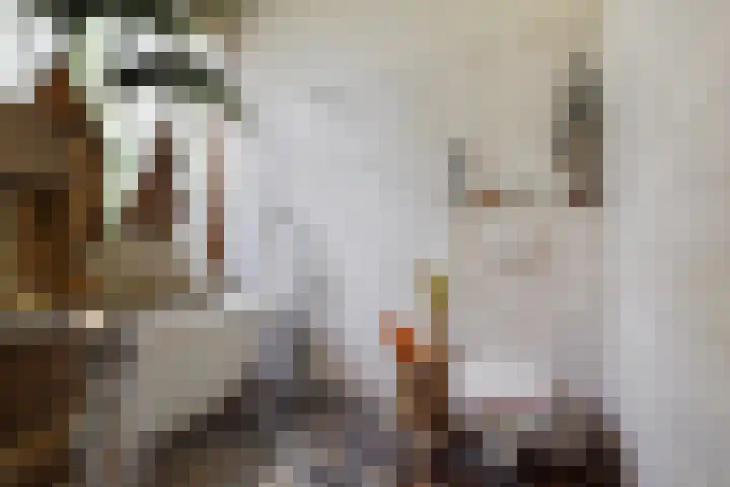 Wilnisse Zuwe 58 A R18 Wilnis thumbnail 26