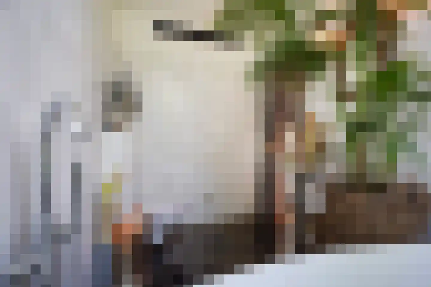 Wilnisse Zuwe 58 A R18 Wilnis thumbnail 28