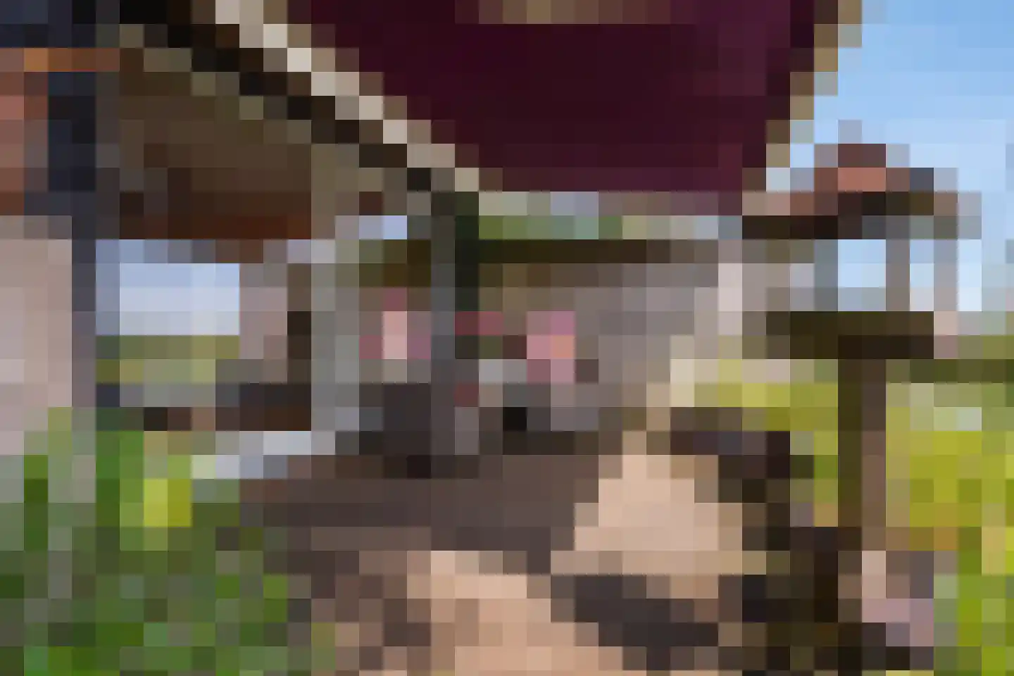 Wilnisse Zuwe 58 A R18 Wilnis thumbnail 36