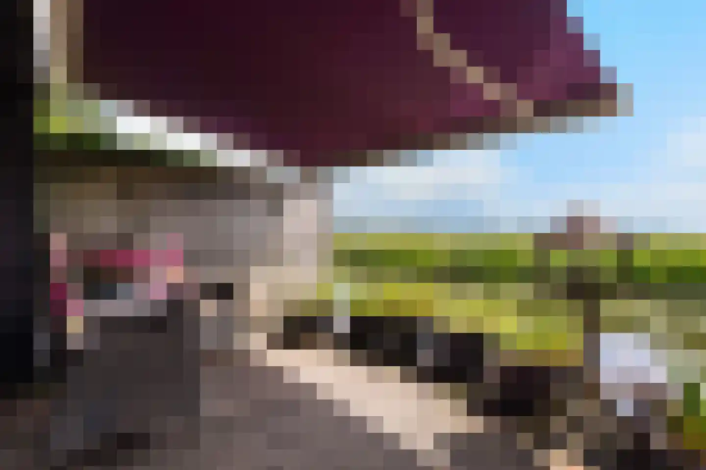 Wilnisse Zuwe 58 A R18 Wilnis thumbnail 37