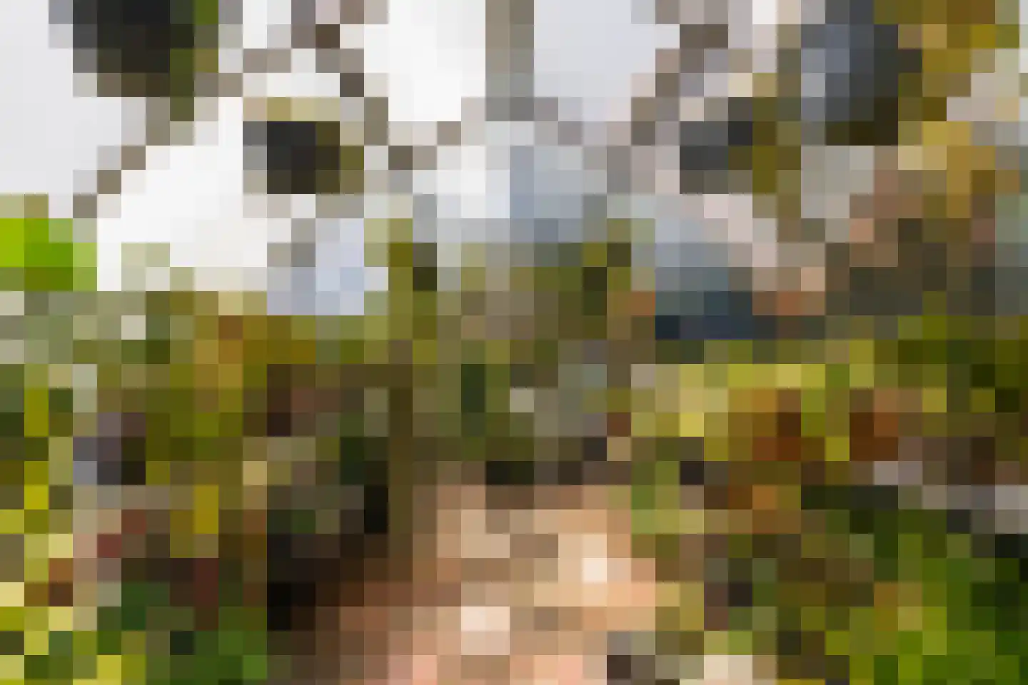 Wilnisse Zuwe 58 A R18 Wilnis thumbnail 43