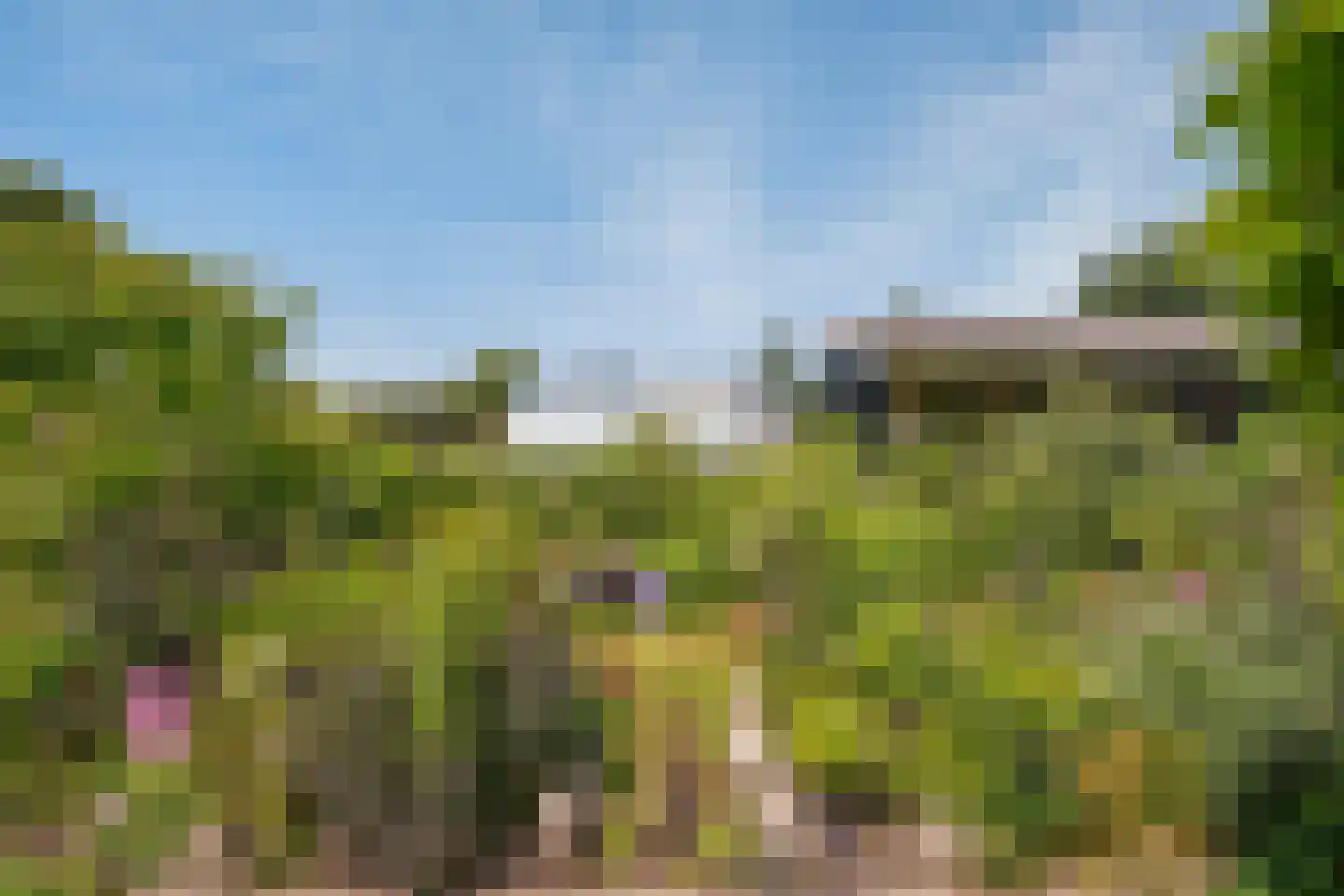 Wilnisse Zuwe 58 A R18 Wilnis thumbnail 44