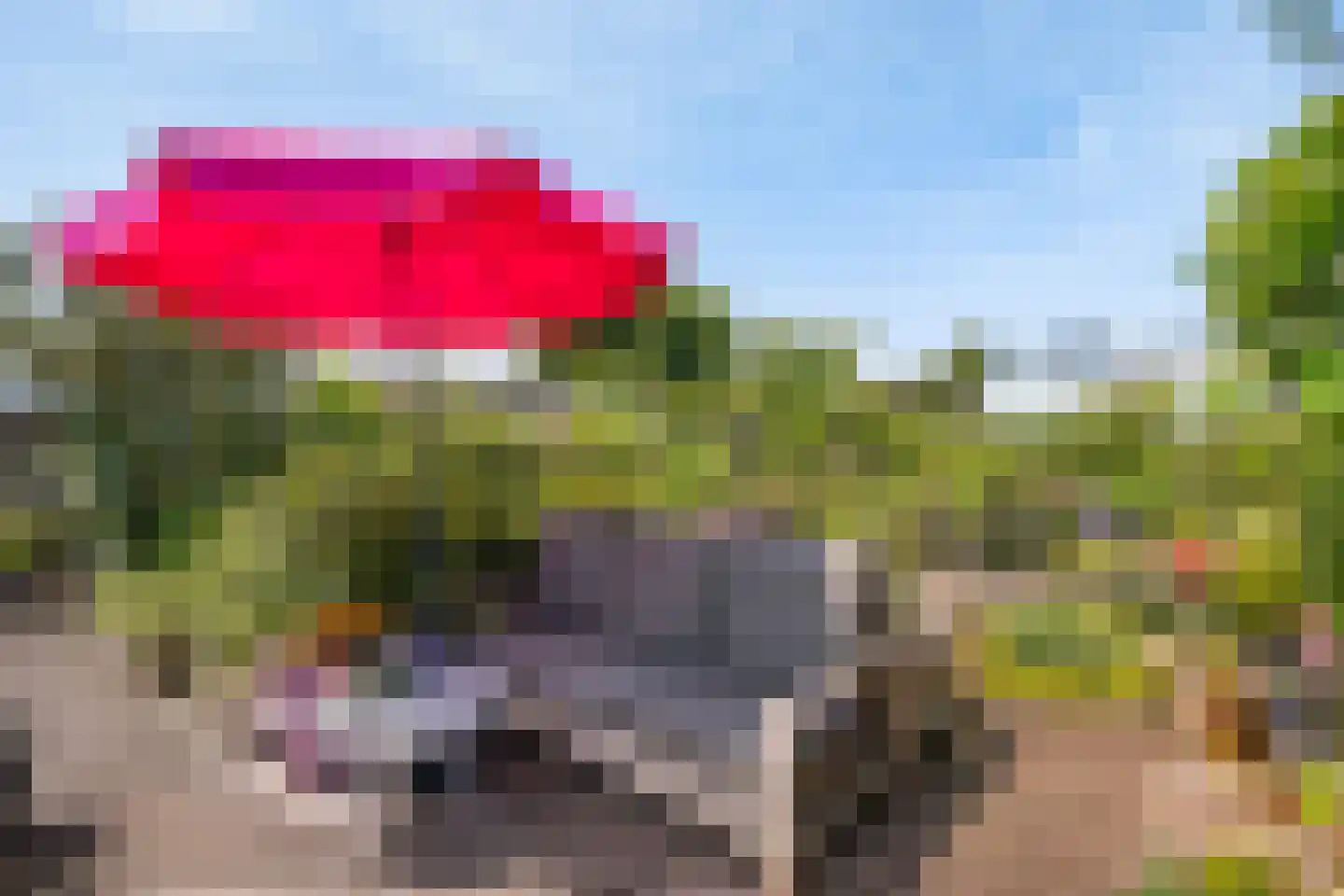 Wilnisse Zuwe 58 A R18 Wilnis thumbnail 49