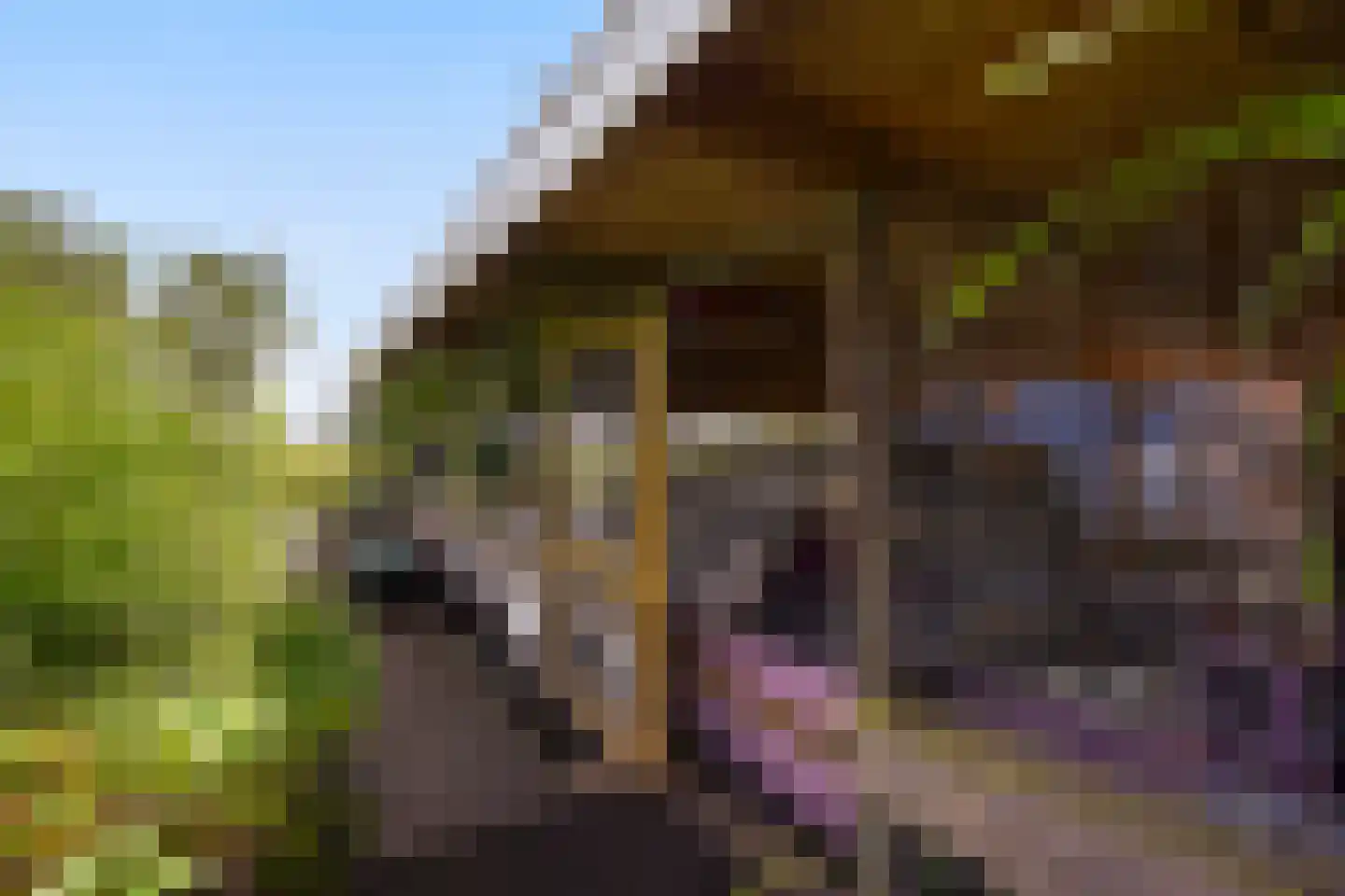 Wilnisse Zuwe 58 A R18 Wilnis thumbnail 52