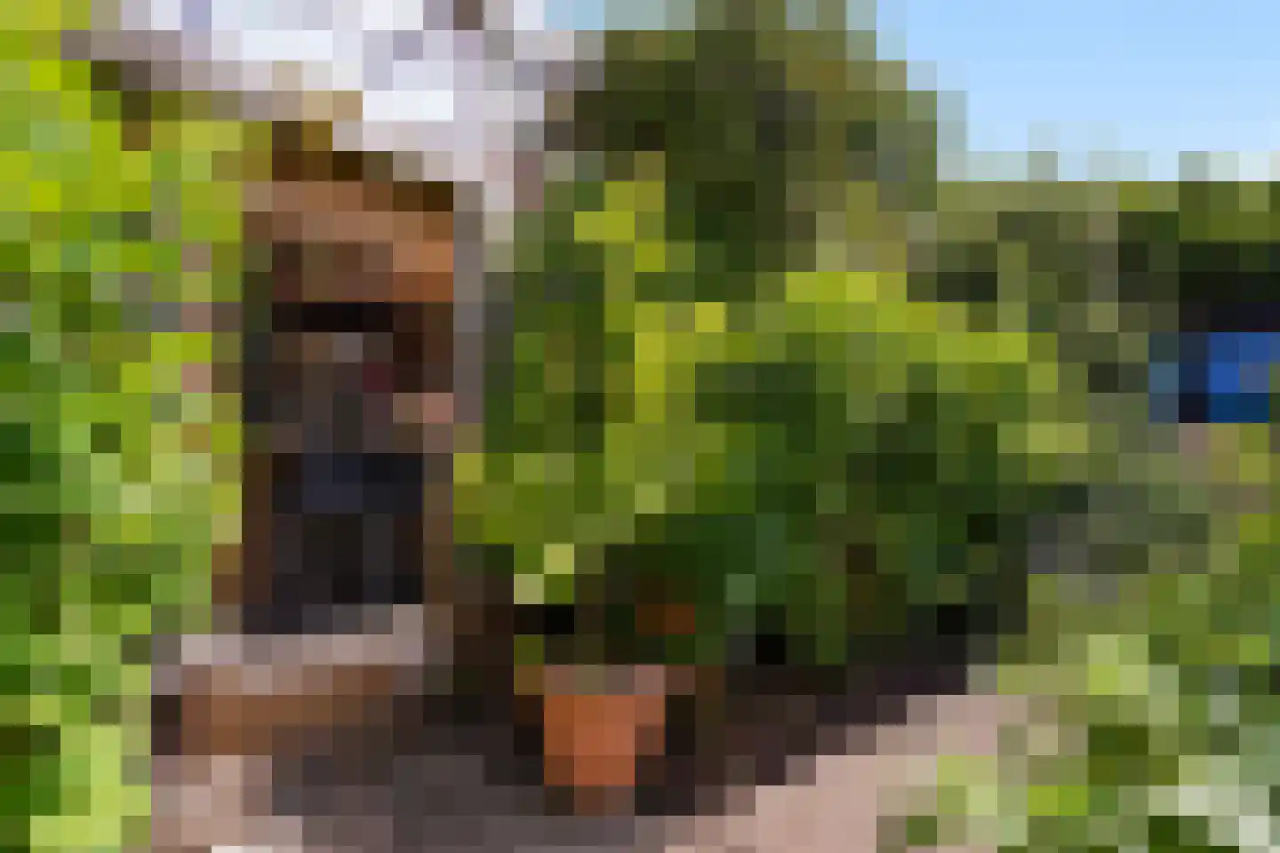 Wilnisse Zuwe 58 A R18 Wilnis thumbnail 6