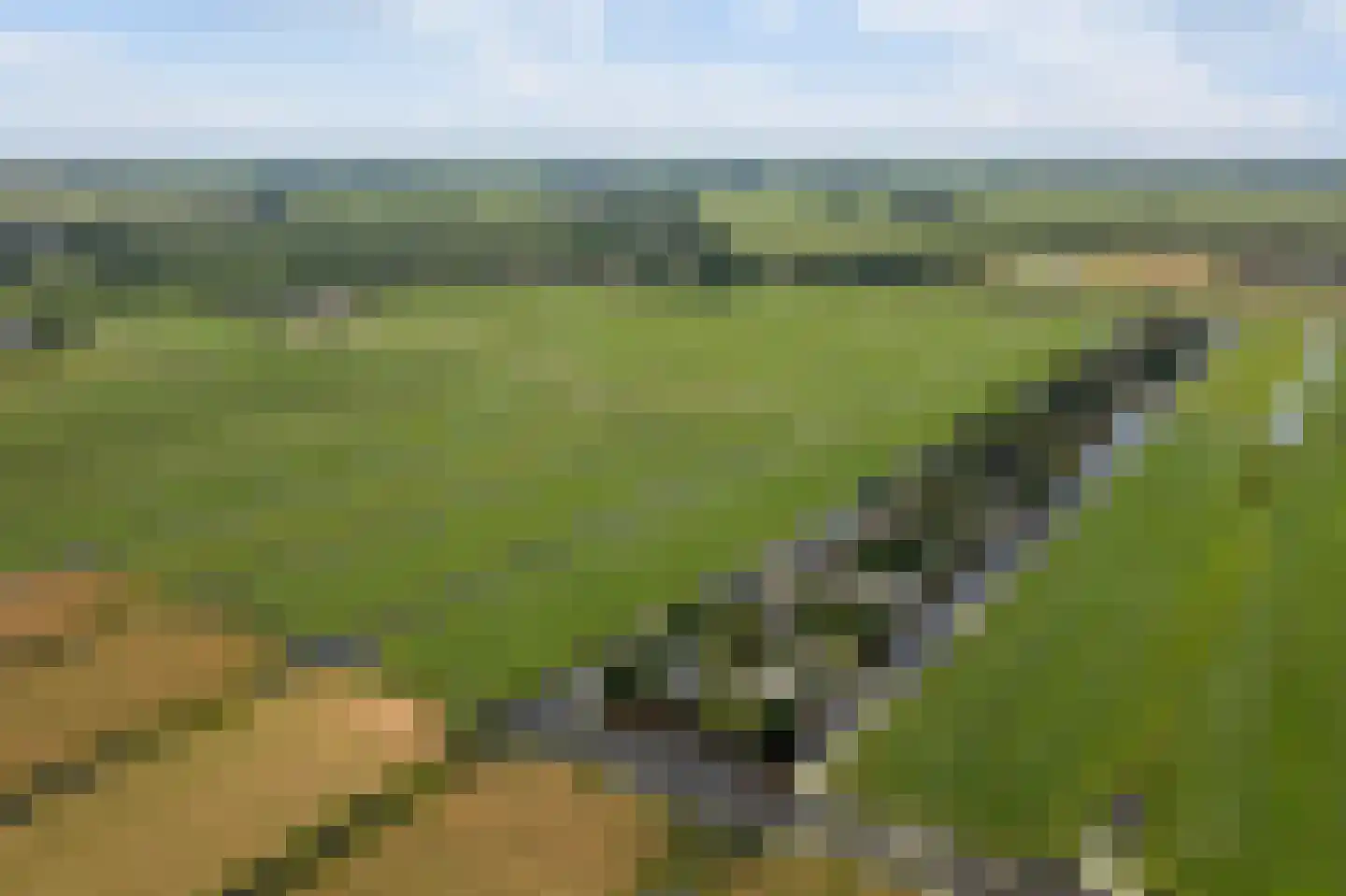 Wilnisse Zuwe 58 A R18 Wilnis thumbnail 61