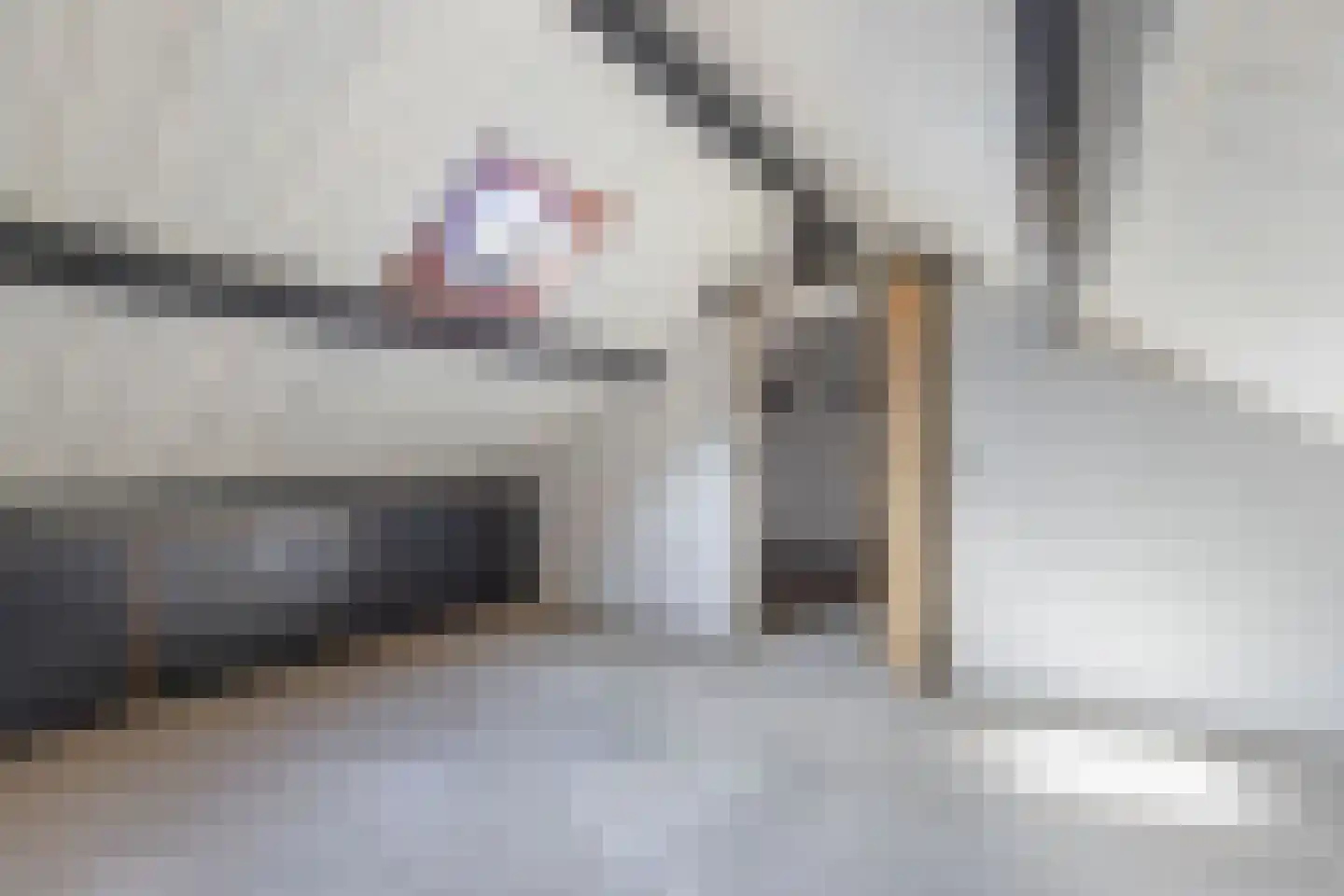 Wilpsterend 2 Drachten thumbnail 25