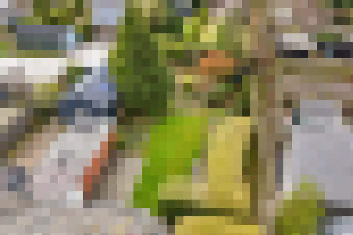 Wilpsterend 2 Drachten thumbnail 36