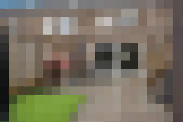 Wils Broggelstraat 30 Hengelo thumbnail 32