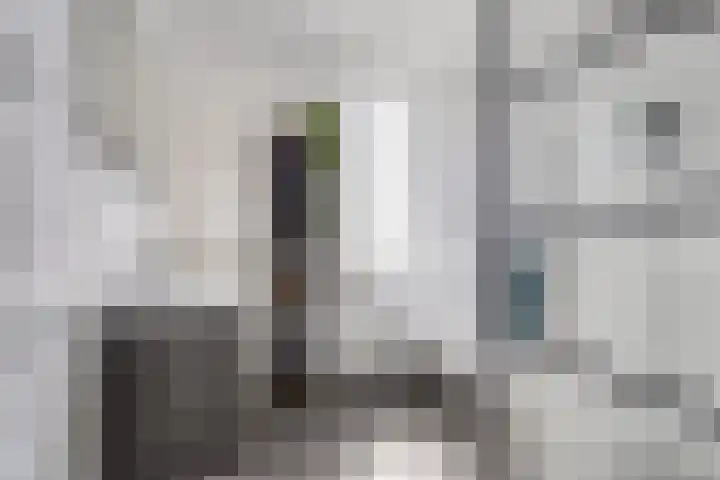 Wils Broggelstraat 8 Hengelo thumbnail 24