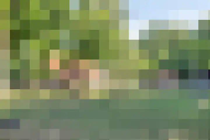 Wils Broggelstraat 8 Hengelo thumbnail 35