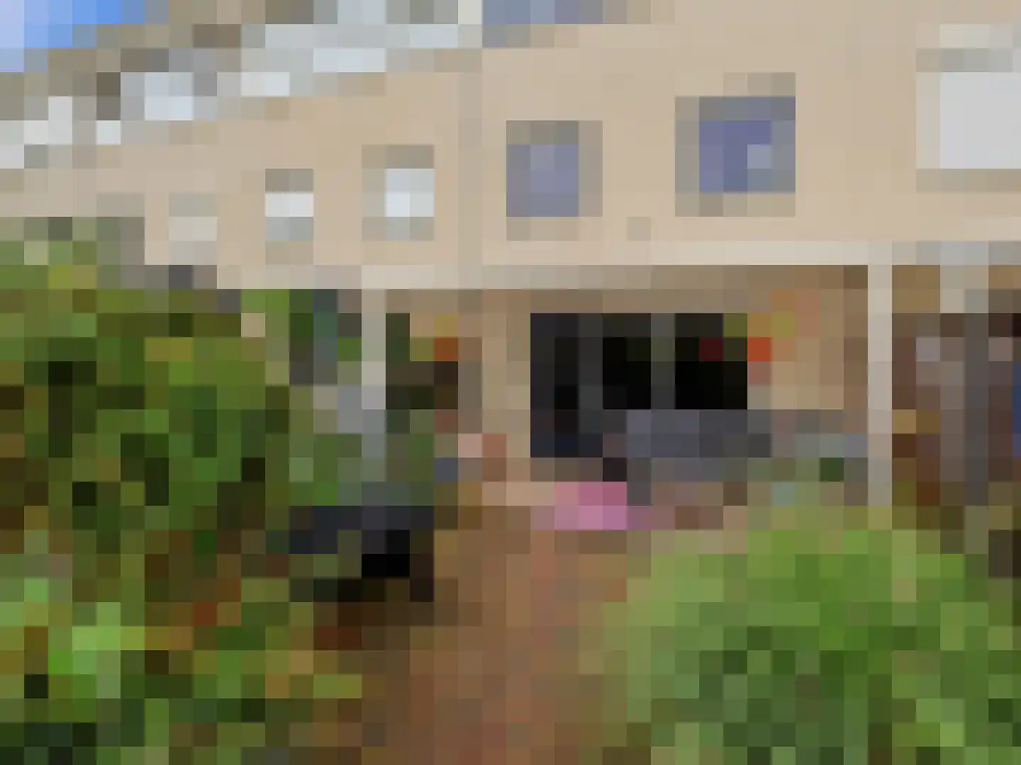 Wilslaan 18 Wageningen thumbnail 33