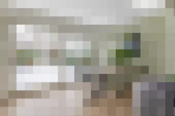 Wilslaan 32 Wageningen thumbnail 11