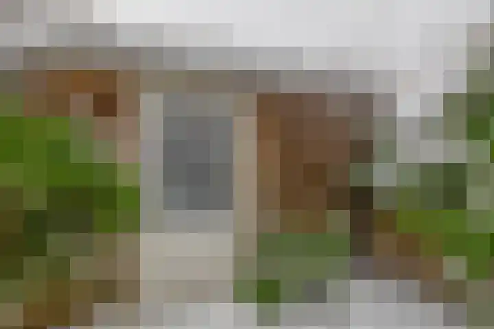 Wilslaan 32 Wageningen thumbnail 38