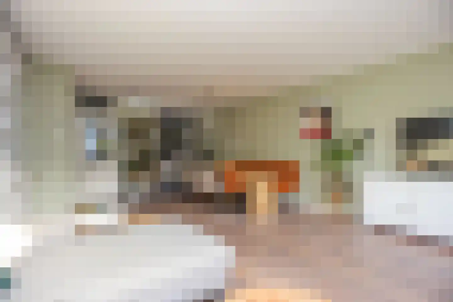 Wilsondreef 12 Ede thumbnail 10