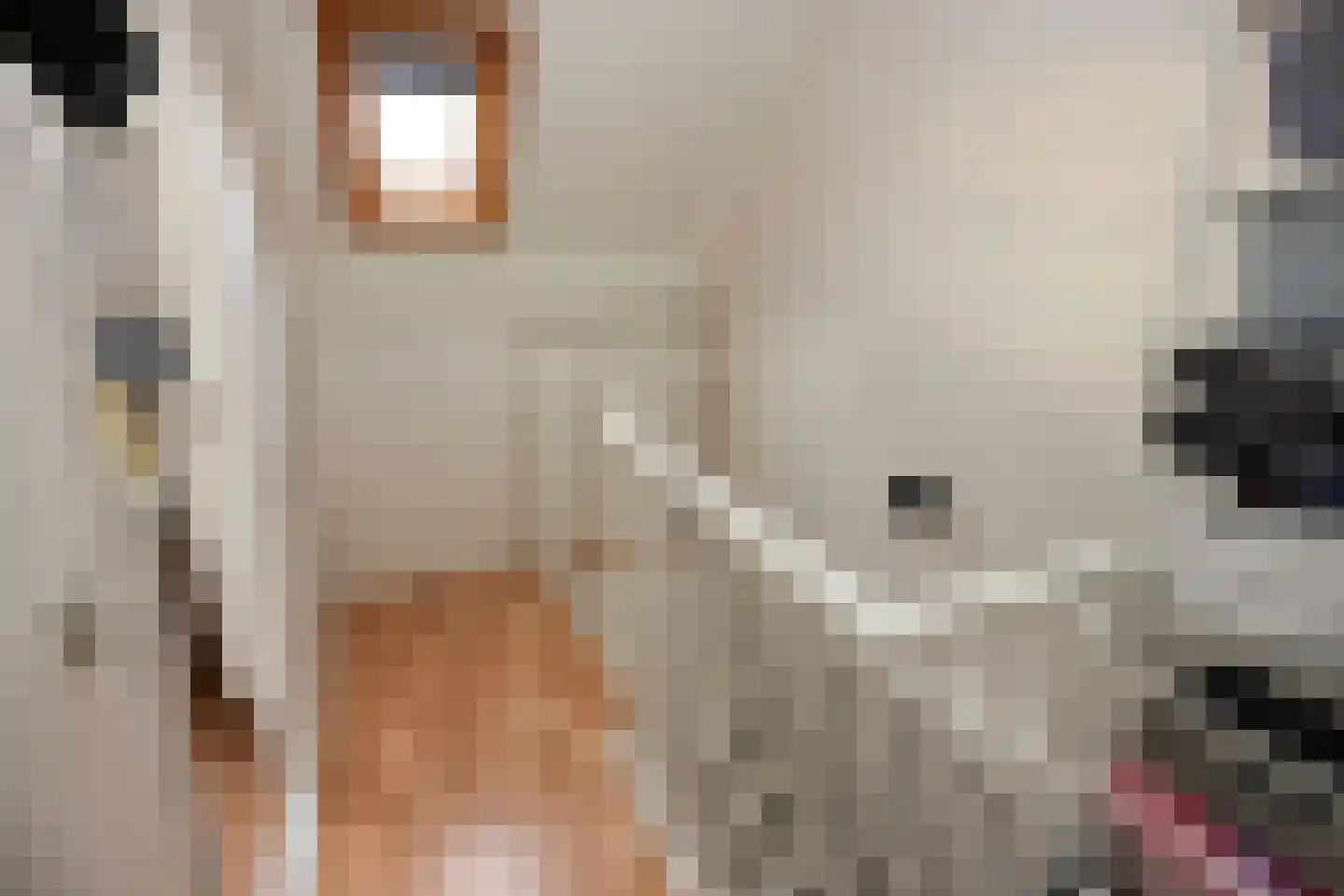 Wilsondreef 12 Ede thumbnail 22