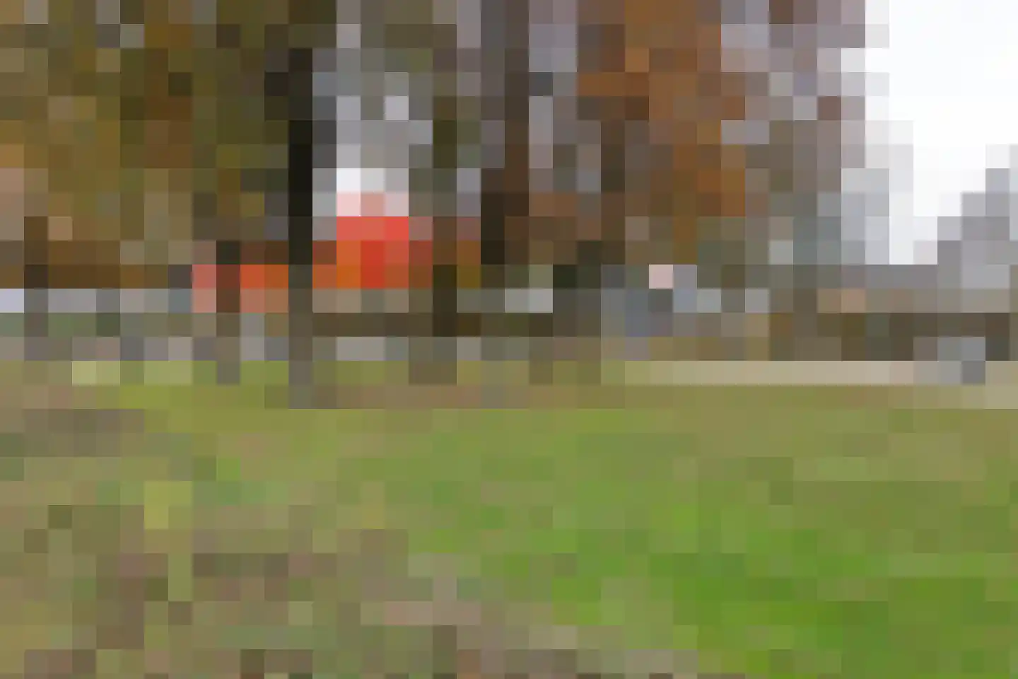 Wilsondreef 12 Ede thumbnail 31