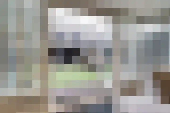 Wilsondreef 7 Ede thumbnail 13