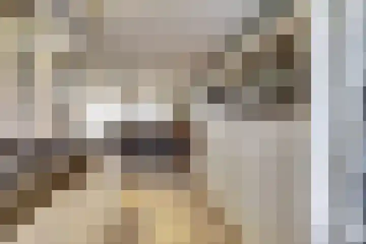 Wilsondreef 7 Ede thumbnail 19