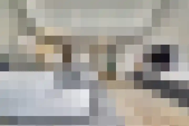 Wilsondreef 7 Ede foto 2