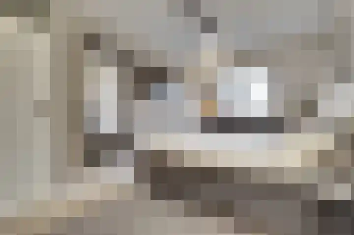 Wilsondreef 7 Ede thumbnail 21