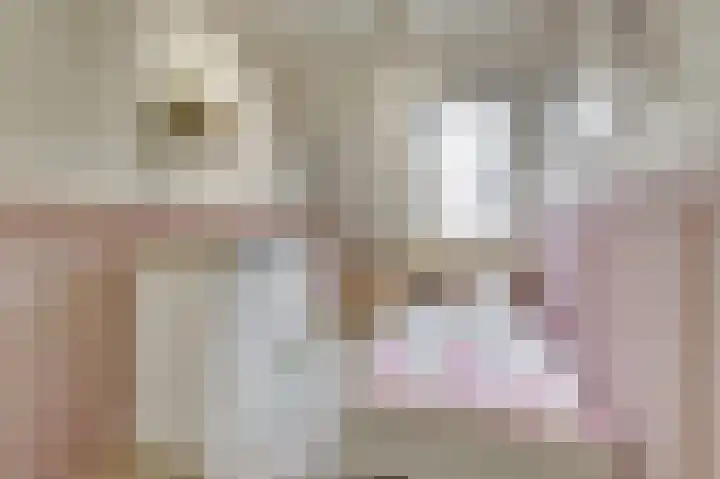 Wilsondreef 7 Ede thumbnail 23
