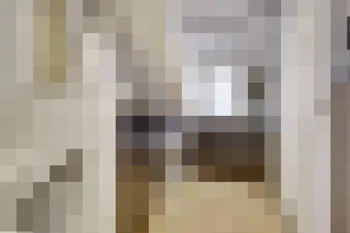 Wilsondreef 7 Ede thumbnail 25