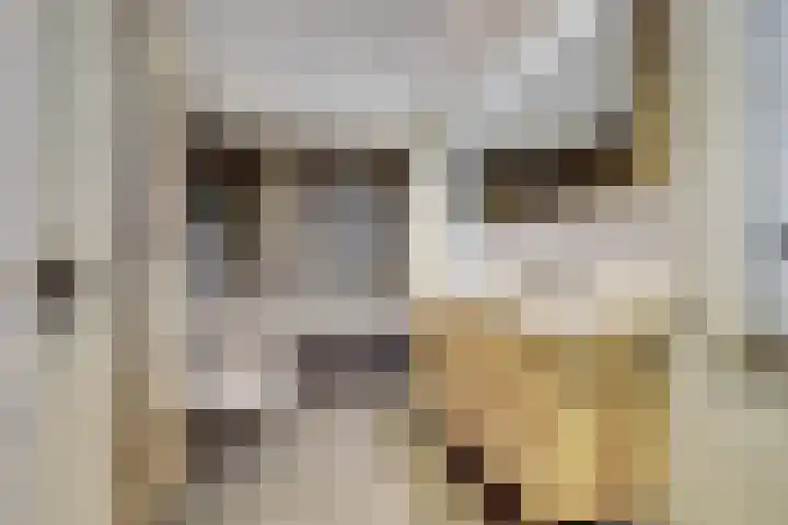 Wilsondreef 7 Ede thumbnail 28