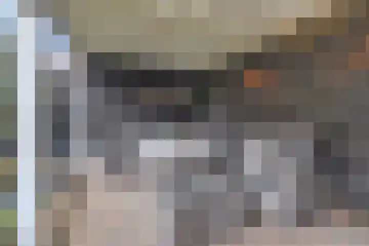 Wilsondreef 7 Ede thumbnail 33
