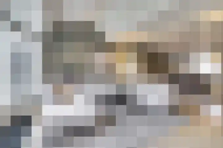 Wilsondreef 7 Ede thumbnail 9