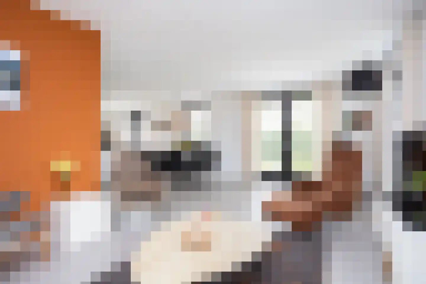 Wilsonerf 3 Bergschenhoek thumbnail 18