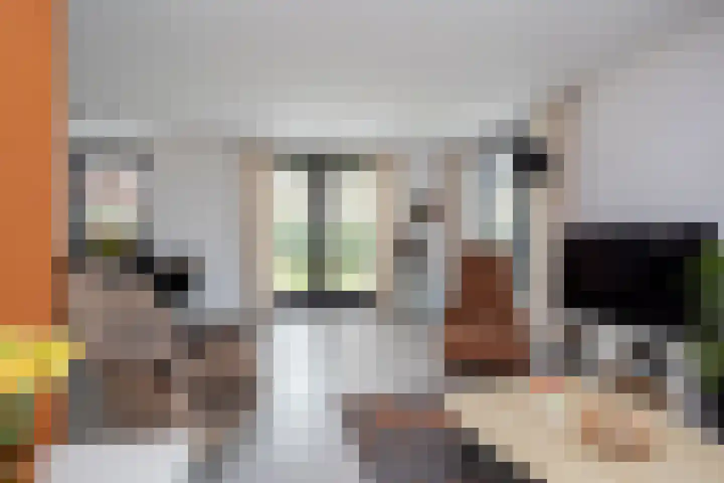 Wilsonerf 3 Bergschenhoek thumbnail 19