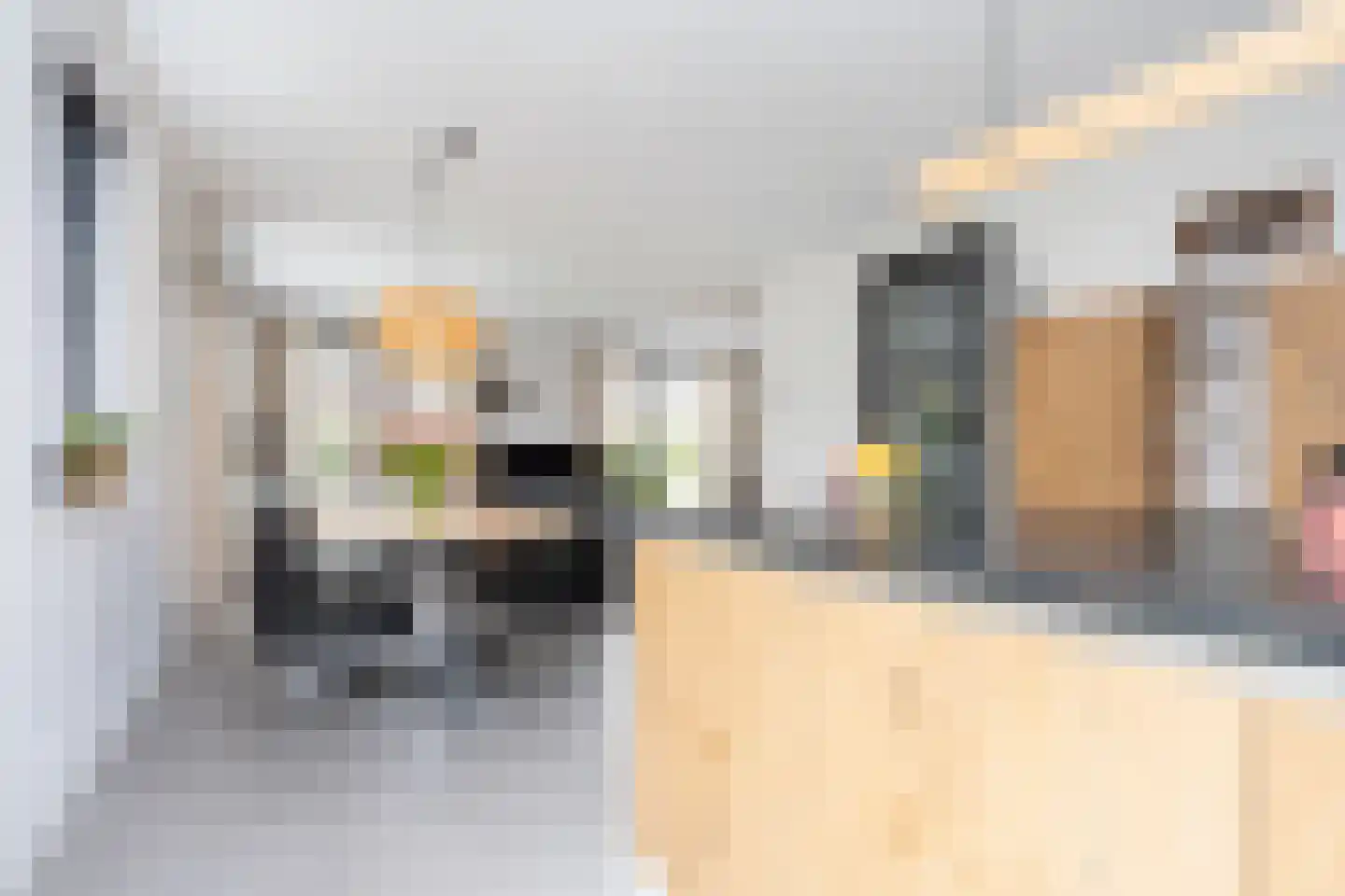 Wilsonerf 3 Bergschenhoek thumbnail 26