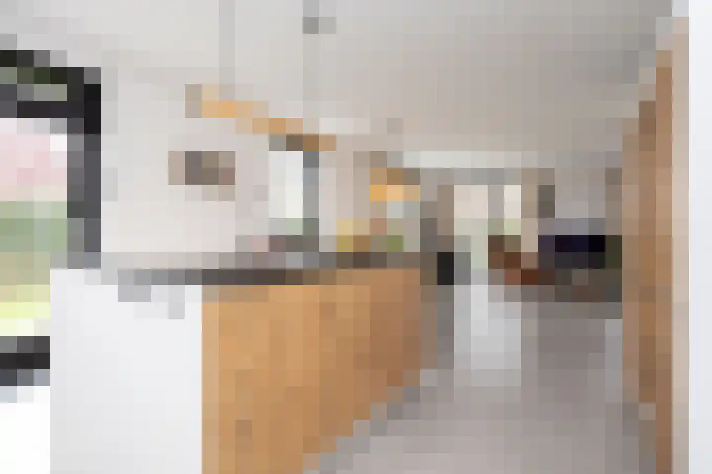 Wilsonerf 3 Bergschenhoek thumbnail 29