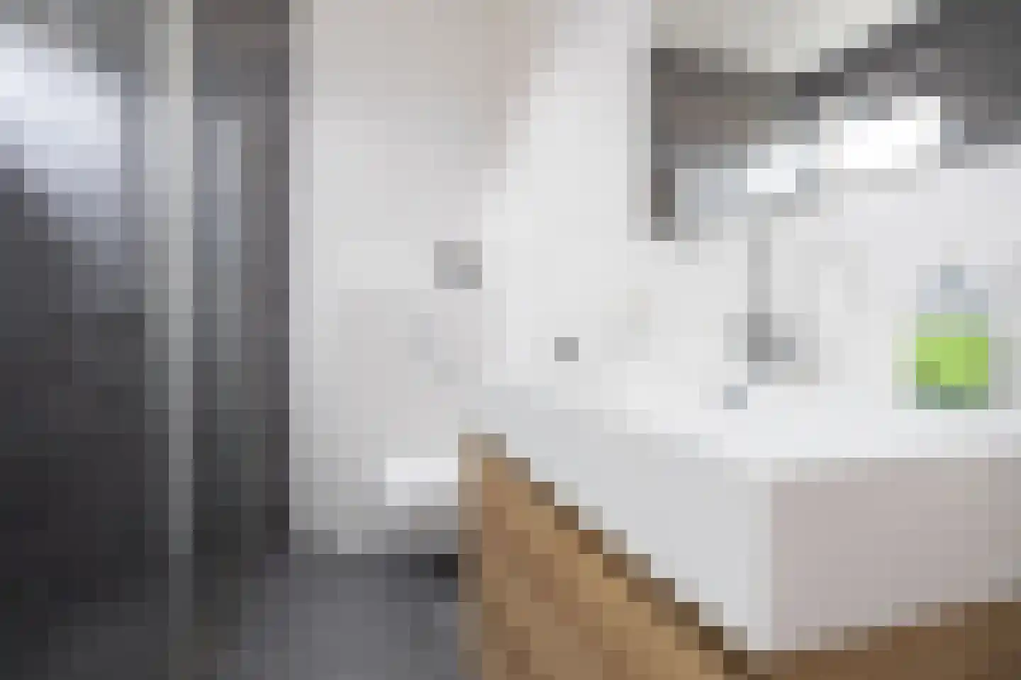 Wilsonerf 3 Bergschenhoek thumbnail 57