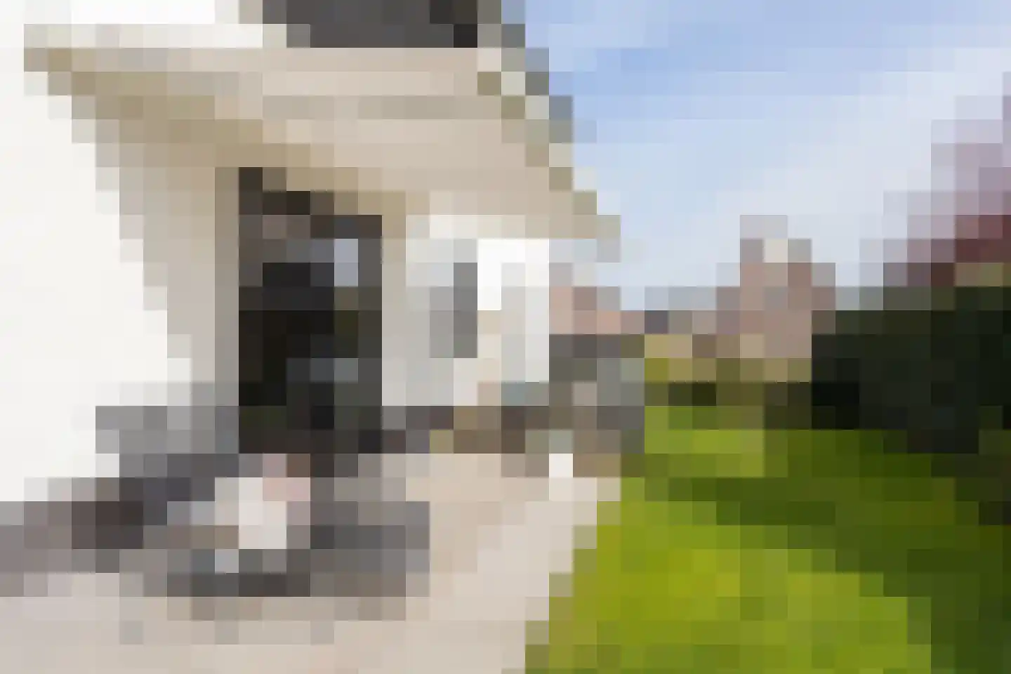 Wilsonerf 3 Bergschenhoek thumbnail 59