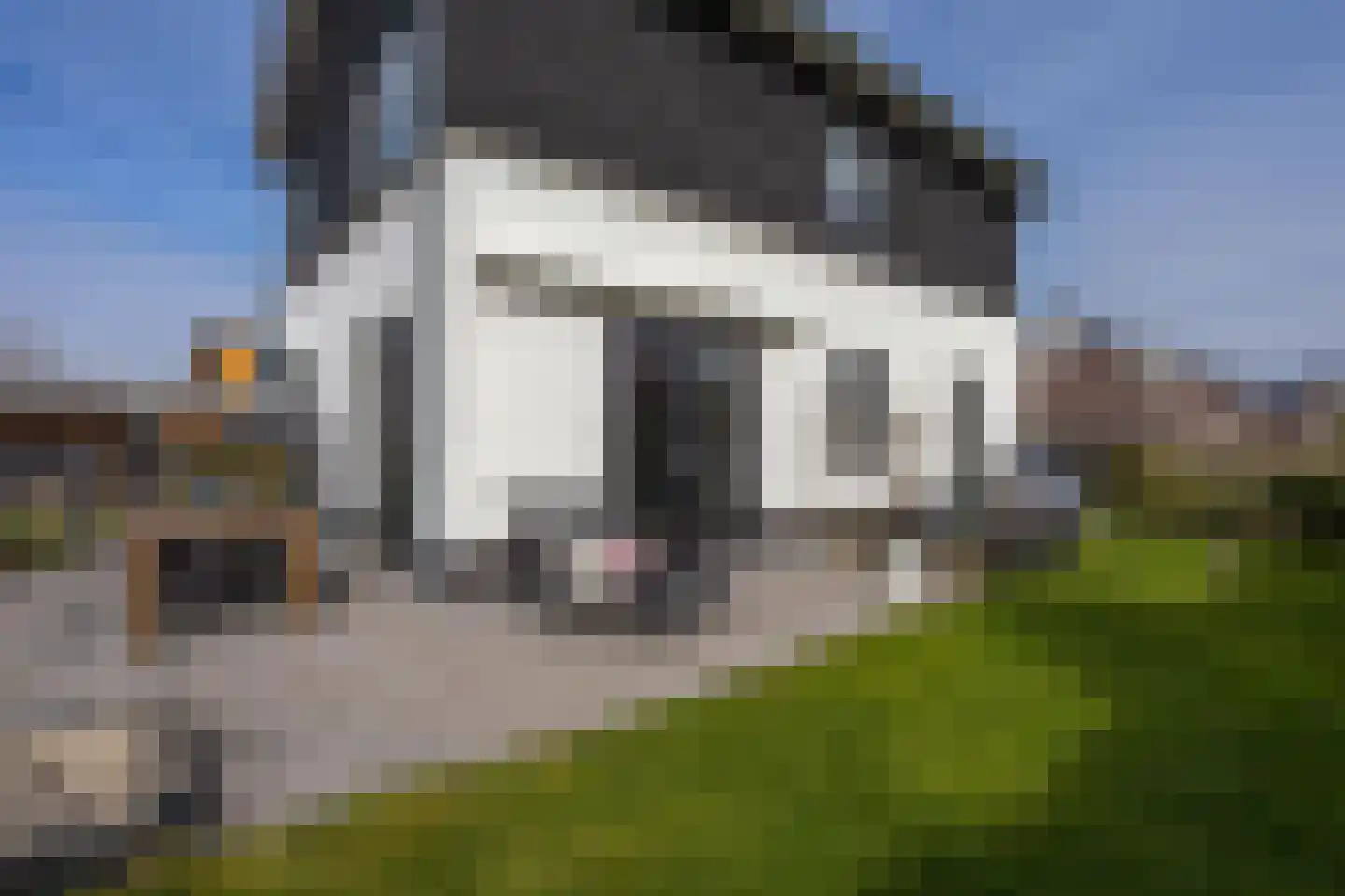 Wilsonerf 3 Bergschenhoek thumbnail 64