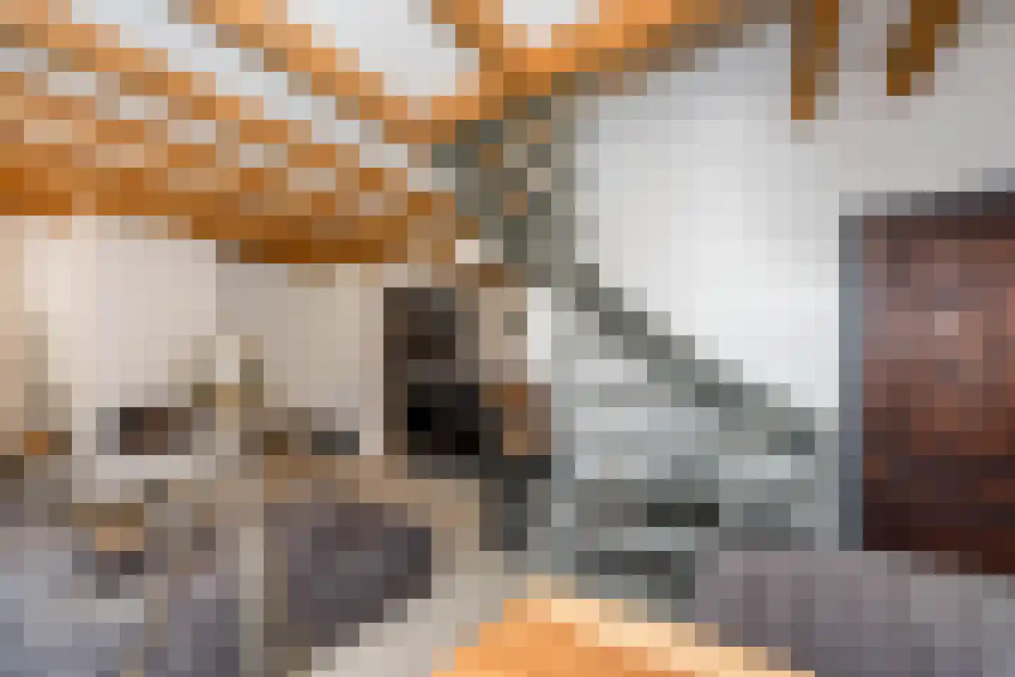 Wilsonsplein 8 Haarlem thumbnail 12