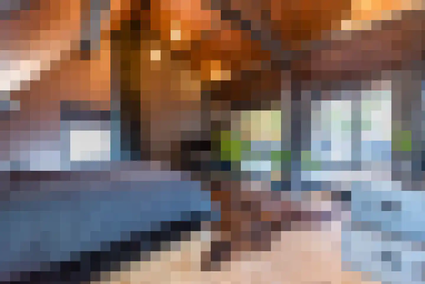 Wilsonsplein 8 Haarlem thumbnail 35