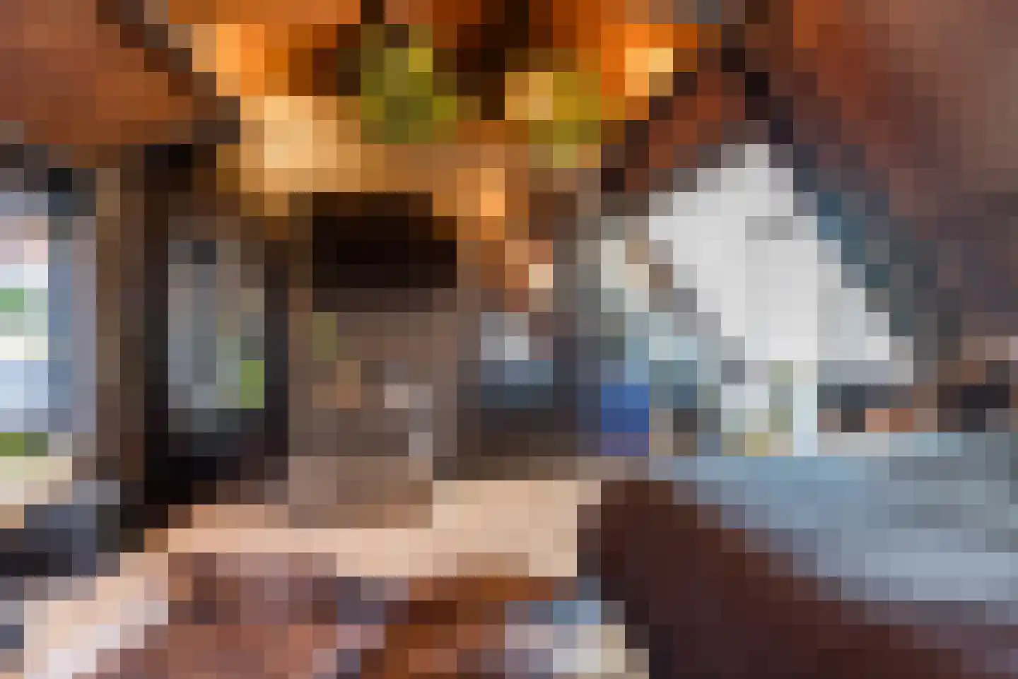Wilsonsplein 8 Haarlem thumbnail 39
