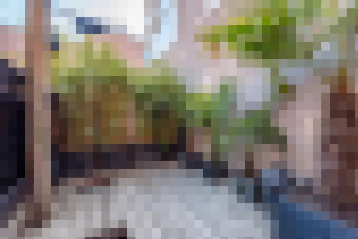 Wilsonsplein 8 Haarlem thumbnail 43
